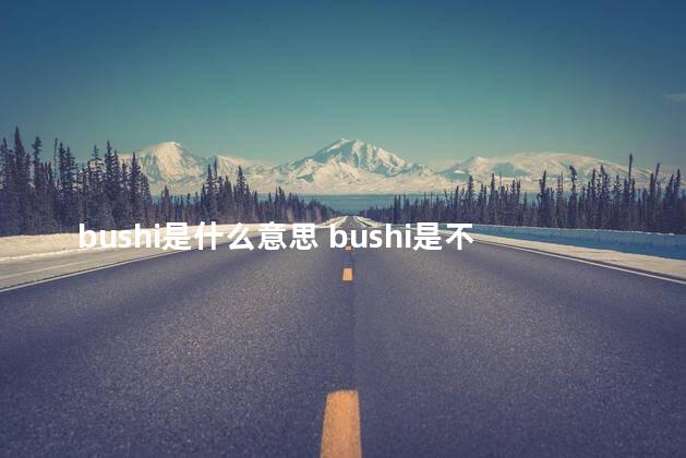 bushi是什么意思 bushi是不是的意思吗